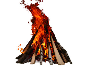 Bright orange and yellow flames engulfing a bonfire of birch logs burning intensely against a stark  isolated on a transparent background