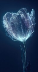 Glowing, ethereal tulip