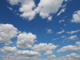 white fluffy clouds in the sky