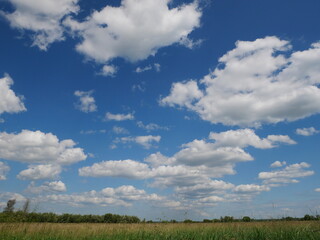 white clouds in the sky