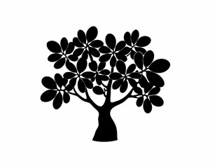 creative Silhouette simple Jade Plant (Crassula ovata) Vector Illustration 