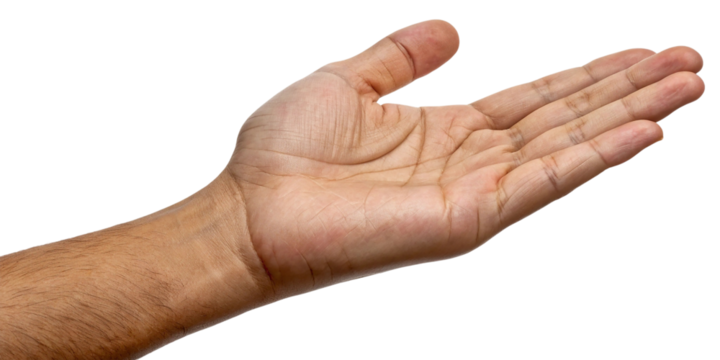 Open human palm and forearm with visible skin texture and hair isolated on transparent background