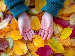 Fototapete Rund Child hands playing with colorful autumn leaves © Elegance Frames