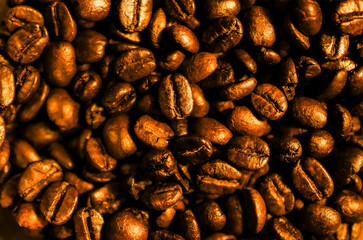 Close-up photo of golden brown coffee beans.