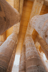 Hieroglyphic carvings decorating massive columns supporting wooden roof in ancient egyptian temple