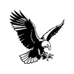 Obraz premium Aggressive Bald Eagle Attacking Pose