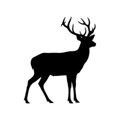 Obraz premium Majestic Deer Silhouette with Antlers