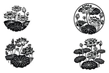 Black and white lotus flowers and leaves buds