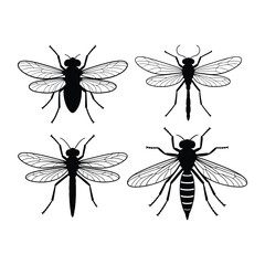 Collection of four detailed insect silhouettes vector with outlined wings.