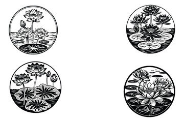 Black and white lotus flowers in water lilies aquatic plants
