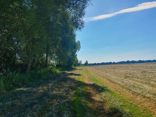 country road in the field