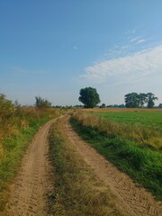 dirt road in the field