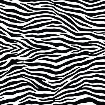 Seamless Black and White Zebra Stripe Pattern &ndash; Animal Print Background Design for Fabric, Wallpaper, and Art