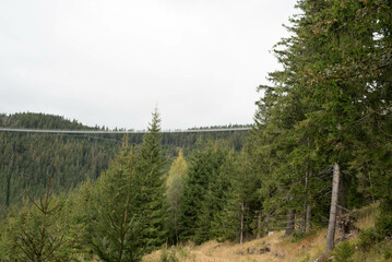 Sky Bridge 721 in Dolní Morava, Czechia, spanning forested valley