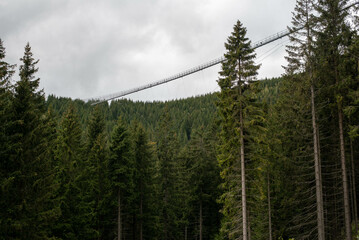 Sky Bridge 721 in Dolní Morava, Czechia, spanning forested valley