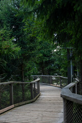 Wooden walking paths in Dolní Morava, Czechia, scenic and elevated