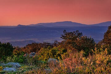 Early morning landscape from the top of Mount Alaric in the South of France. Garrigue, rocks, horizon, and the snow-capped Pyrenees.