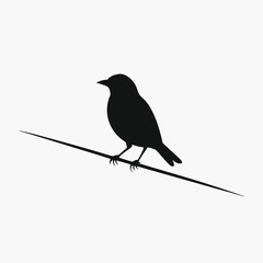 A solitary black silhouette of a small bird perched gracefully on a thin angled branch against a clean white background