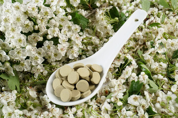 Weißdorn mit Blüten und Tabletten