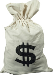 bag with money