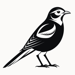 Obraz premium Stylized black and white illustration of a meadowlark bird standing alert on a white background