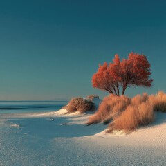 Red Shrub on White Sand Dunes at Sunset