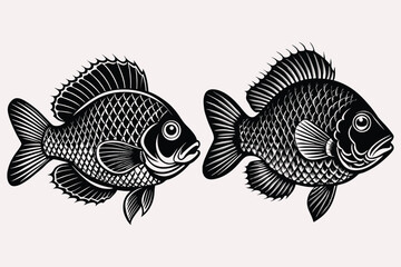 Black fish illustration detailed scales fins black and white © Active Abdur Rouf