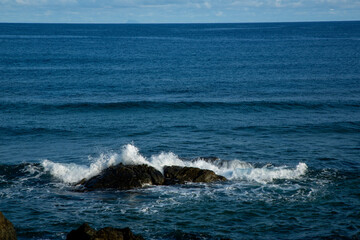 Fototapeta premium 奄美大島の夏。