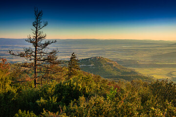 Obraz premium Early morning landscape from the top of Mount Alaric in the South of France. Garrigue, rocks, horizon, and the snow-capped Pyrenees.