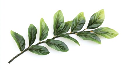 Naklejka premium Serene green laurel branch with lush leaves on a clear white surface