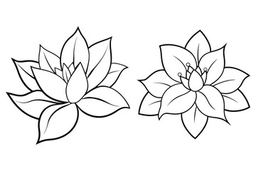 Delicate floral outlines with detailed petals and centers black and white symmetrical