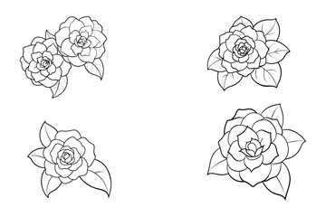 Delicate layered floral blooms with leaf outlines flowers petal