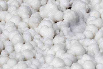 Close-up of naturally crystallized salt on the ground at the shore of a salt lake