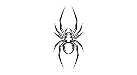 A black and white illustration of a spider with long legs, viewed from above.