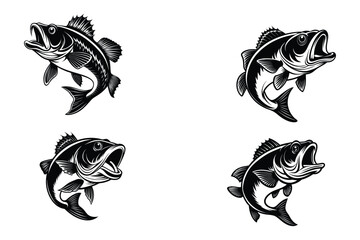 Leaping largemouth bass fish jumping aquatic