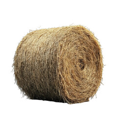 Tightly wound bale of light tan, fibrous material, possibly hay or straw, showing texture and cylindrical shape