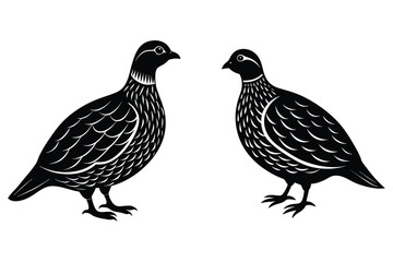 Two black partridge silhouettes facing each other bird white