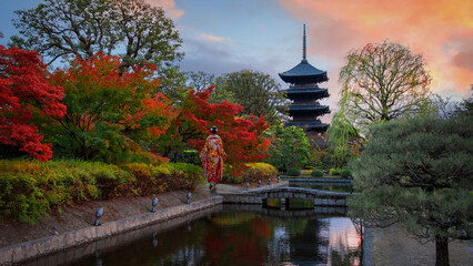 Japanese Woman in Traditional Kimono Dress at Toji Temple in Kyoto, Japan with beautiful garden and autumn foliage