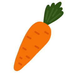Carrot Illustration PNG – Hand Drawn Vegetable Clipart with Transparent Background