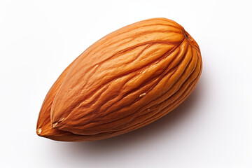 close-up of single whole almond nut on clean white background