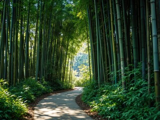 Tranquil Kyoto Bamboo Forest Pathway