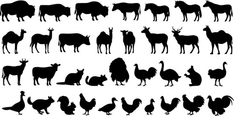 Obraz premium black animals silhouette vector on white background
