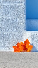 Rusty Orange Maple Leaves on a Grey Stone Doorstep Against a Blue Wall