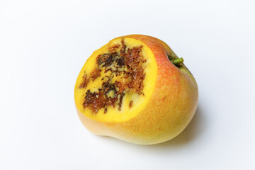 Ripe Mango Cut Open Revealing Unexpected Internal Rot and Mold Despite Fresh Outer Appearance