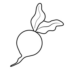 vegetable line art for coloring