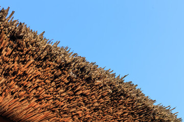 straw roof top and blue sky, reed, for the background, web and design purposes