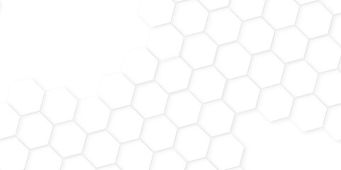 Fototapeta premium Abstract background with hexagon, modern abstract vector polygonal pattern. Futuristic honeycomb mosaic white background,white and gray hexagon honeycomb geometric copy space.