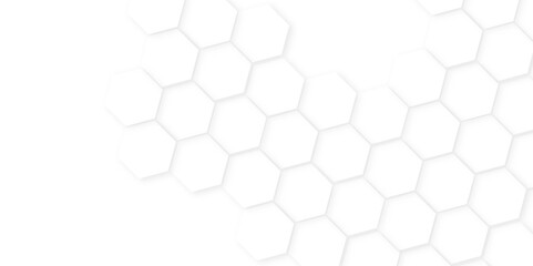 Abstract background with hexagon, modern abstract vector polygonal pattern. Futuristic honeycomb mosaic white background,white and gray hexagon honeycomb geometric copy space.