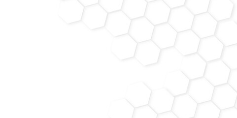 Abstract background with hexagon, modern abstract vector polygonal pattern. Futuristic honeycomb mosaic white background,white and gray hexagon honeycomb geometric copy space.
