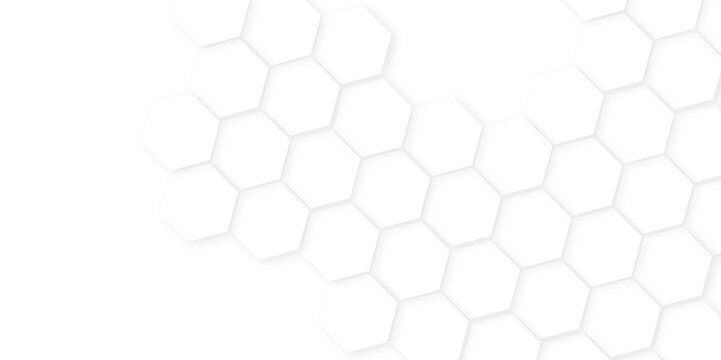 Abstract background with hexagon, modern abstract vector polygonal pattern. Futuristic honeycomb mosaic white background, white and gray hexagon honeycomb geometric copy space.